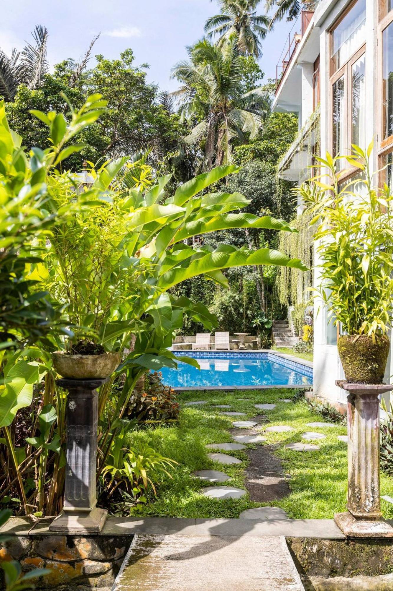 Made Punia'S Jungle Apartment Ubud Exterior foto